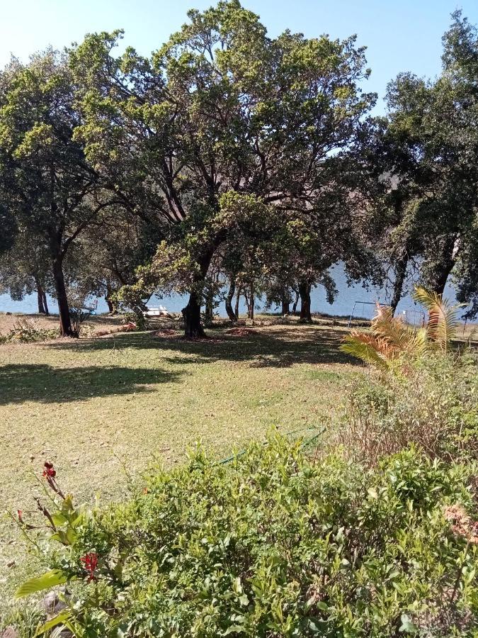 Duiker Den At Hulala *