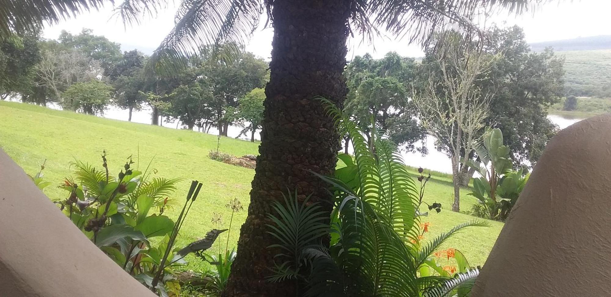 Appartement Duiker Den At Hulala Witrivier